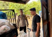 Bulog Serap 2.031 Kg Jagung Program Ketahanan Pangan Desa Mahato, Polsek Tambusai Utara Lakukan Monitoring