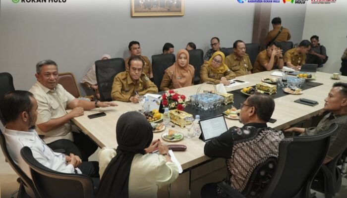 Sinergikan Tata Kelola Aset dan Pinjaman Daerah, Pemkab dan DPRD Rohul Berkonsultasi ke BPKP Riau