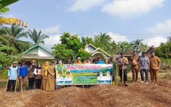Polsek Rokan IV Koto Kawal Pertanian Modern Jagung Pipil di Pendalian Perkuat Swasembada Pangan Nasional