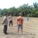 Polsek Kunto Darussalam Pastikan Kesiapan Lahan Jagung di Desa Kembang Damai Perkuat Ketahanan Pangan Nasional