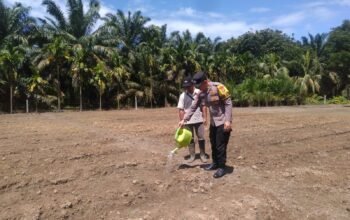 Polsek Kunto Darussalam Perkuat Pendampingan Budidaya Jagung di Desa Kembang Damai Dukung Swasembada Pangan Nasional