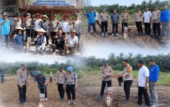 Polsek Tambusai Utara Perkuat Ketahanan Pangan Melalui Penanaman Jagung Kuartal III