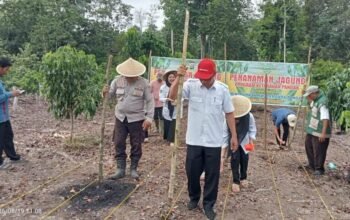 Polsek Rokan IV Koto Tanam Jagung Kuartal III, Perkuat Produksi Pangan Nasional