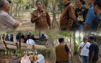 Istana Kerajaan Rambah Mulai Dipersiapkan, Tim Ahli dan Disparbud Rohul Telusuri Jejak Sejarah