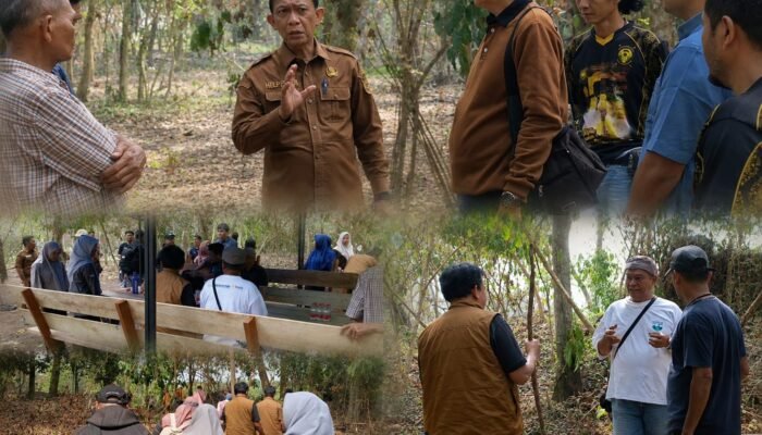 Istana Kerajaan Rambah Mulai Dipersiapkan, Tim Ahli dan Disparbud Rohul Telusuri Jejak Sejarah