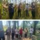 Panen Jagung di Desa Rambah, Polsek Rambah Hilir Kawal Petani Perkuat Ketahanan Pangan