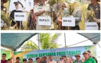 Pertanian Jadi Penggerak Ekonomi, Pemkab Rohul Perkuat Ketahanan Pangan
