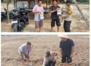 Polsek Tambusai Utara Jaga Asa Swasembada Pangan di tengah Kemarau