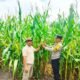 Polsek Tambusai Utara Petakan Tantangan Jagung Rantau Sakti Dukung Swasembada Pangan