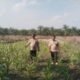 Polsek Bonai Darussalam Jaga Kesinambungan Jagung untuk Swasembada Pangan