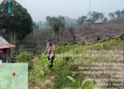 Polsek Rokan IV Koto Cermati Pertumbuhan Jagung, Dukung Swasembada Pangan Nasional