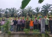 Polsek Rambah Hilir Konsisten Dorong Pengembangan Jagung, Dukung Ketahanan Pangan Nasional