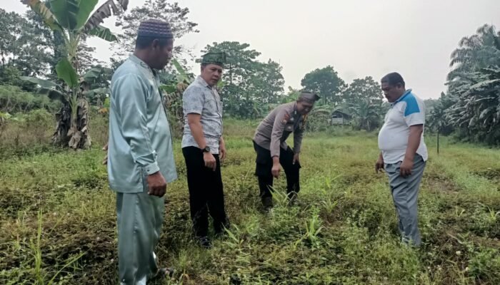 Polsek Rokan IV Koto Cermati Kendala Produksi Jagung Bengkolan Salak, Dukung Ketahanan Pangan Nasional