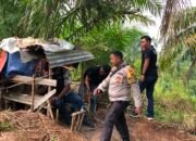 Polres Rohul Gelar Patroli Skala Besar Temukan Lima Gubuk Diduga Terkait Narkoba