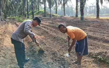 Polsek Kabun Dorong Ketahanan Pangan Nasional melalui Program POLIRAN