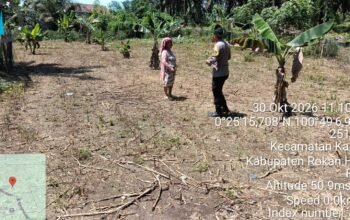 Polsek Kabun Dorong Produksi Jagung Pipil di Batulangkah Besar, Dukung Ketahanan Pangan Nasional