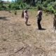 Polsek Kabun Dorong Produksi Jagung Pipil di Batulangkah Besar, Dukung Ketahanan Pangan Nasional